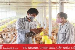 Tư duy lớn, hộ dân nuôi gà liên kết cỡ 40 ngàn con/năm ở TX Hồng Lĩnh