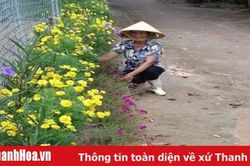 Xã Thọ Dân xây dựng môi trường sáng - xanh - sạch – đẹp