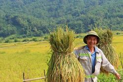 Kỳ tích của đồng bào Thái Nghệ An ở nơi 'đất mỏng, đá dày'