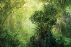 Đời rừng đời hoa