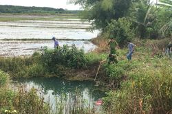 Bình Phước: Phát hiện thi thể của một phụ nữ giữa đồng vắng