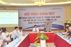 Hội thảo mô hình liên kết kinh tế trong sản xuất cà phê, hồ tiêu