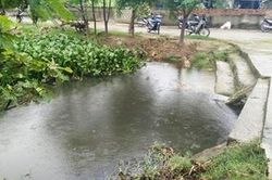 Trưởng Ban Tổ chức huyện Năm Căn tử vong bất thường dưới cống