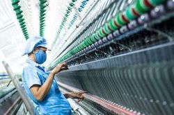 Sau 30 phiên giảm sàn liên tiếp, cổ phiếu FTM đã bất ngờ tăng trần 5 phiên