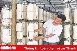 Nâng cao hiệu quả ứng dụng các đề tài, dự án khoa học và công nghệ vào thực tiễn