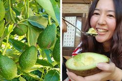8 loại thực phẩm chống chứng đau nửa đầu hiệu quả ít người biết
