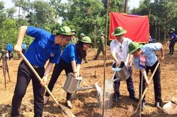 Tuổi trẻ Thủ đô chung tay trồng mới 14.638 cây xanh