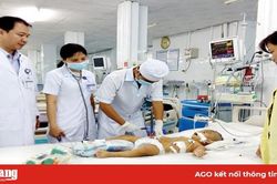 Sốt xuất huyết tăng 67%, tay - chân - miệng tăng gần gấp đôi