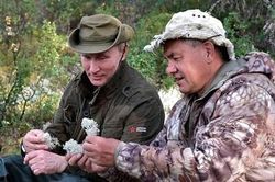 Tổng thống Putin vào rừng hái nấm, lái xe địa hình mừng sinh nhật 67 tuổi