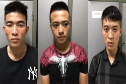 Bắt ổ nhóm chuyên trộm gương, logo xe ô tô