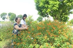 Bài 2: Thay đổi cách nghĩ, cách làm