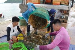 Trung Quốc đóng lối nhỏ, tôm cá rớt giá, dân Việt khóc ròng
