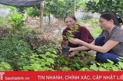 Vườn đẹp, xóm vui nhờ bàn tay phụ nữ