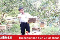 Anh Lê Văn Lâm làm giàu từ nghề nuôi ong lấy mật