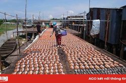 Nhà sản xuất và người tiêu dùng chưa gặp nhau