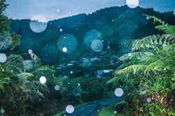 Triển lãm ảnh đương đại Đông Nam Á ra mắt công chúng Thủ đô