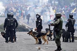 Tổng thống Ecuador ban hành lệnh giới nghiêm vì biểu tình gia tăng