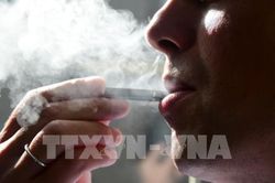 Phơi nhiễm khói thuốc lá điện tử khiến chuột phát triển ung thư phổi