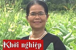 50 tuổi khởi nghiệp với thức uống từ bồ công anh