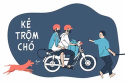 Bất lực với 'cẩu tặc'?