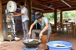 Phát triển sản phẩm trà cà gai leo