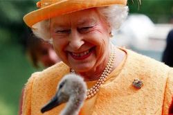 Bật mí những quyền lực tối cao của Nữ hoàng Elizabeth II