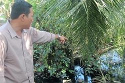 Chủ quán cơm Kiều Giang bị xử phạt vì gây ô nhiễm môi trường
