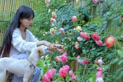 Ngôi nhà đẹp như tranh vẽ của 'tiên nữ đồng quê' Lý Tử Thất