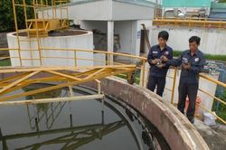Vi phạm môi trường diễn biến phức tạp