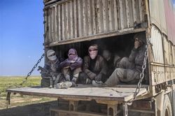 Vì 'bức tranh lớn', Tổng thống Trump đã sai lầm với quyết định tại Syria?