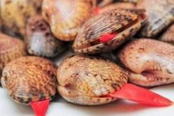 Truy tìm người đăng thông tin thất thiệt 'ăn sò lụa đỏ tử vong'