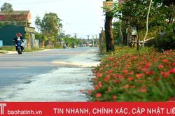 Bền bỉ vượt khó, Kỳ Hà cán đích nông thôn mới sau 3 lần lỡ hẹn