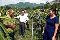 Thanh Hóa: Phụ nữ cùng nhau làm kinh tế, thoát nghèo bền vững