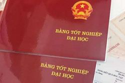 Bằng đại học, không nên 'cào bằng'...