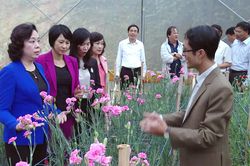 Vùng đất nhớ của Thủ đô