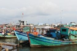 Cà Mau triển khai nhiều biện pháp khai thác thủy sản bền vững