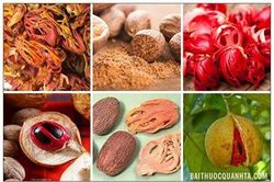 Rợn người loại quả nhìn như con mắt của ác quỷ