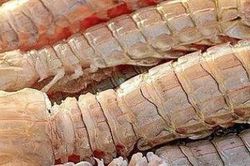 Tuyệt chiêu luộc bề bề tươi ngon, thơm nức không tanh, không khô cứng