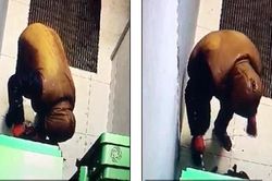 Kết thảm cho kẻ đặt mìn phá cây ATM trộm tiền