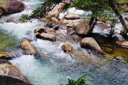 Mới cưới một tháng, tôi có nên ly hôn người chồng ngoại tình, chê vợ lùn?