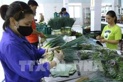 Kinh tế tập thể cần cơ chế chính sách phù hợp nữa để phát triển