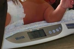 Bé gái sinh thiếu tháng nặng gần 6 kg ở Australia