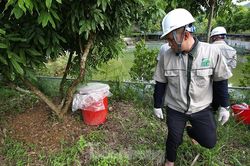Kết quả xét nghiệm nước sông Đà: Có chỉ số vượt ngưỡng
