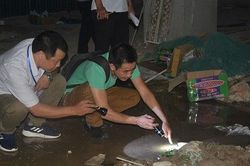 Thận trọng với bệnh sốt xuất huyết khi vào mùa cao điểm
