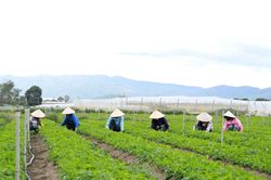Tiếp tục một chặng đường mới (Bài cuối)