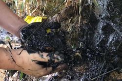 'Họ mặc kệ nên váng dầu vào hệ thống xử lý của nhà máy nước sông Đà'
