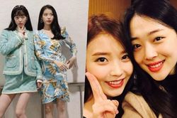 'Peach' của IU trở lại BXH, nhiều fan nghe lại ca khúc tưởng nhớ Sulli