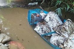 Đã tìm ra nguyên nhân gây bẩn nguồn nước sạch sông Đà