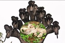 Phát hiện da rắn thần 7 đầu tại đền thiêng Ấn Độ