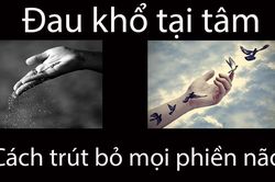 Cây giữ phiền muộn